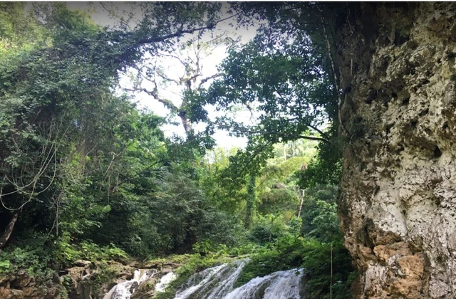 Cascada Lulu El Valle Samana